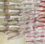 パテック フィリップ コピーアクア ノート レインボー7968/300R-001 - 画像 (12)