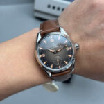 オメガコピー シーマスター レイルマスター 38MM 235.10.38.20.13.001 - 画像 (9)